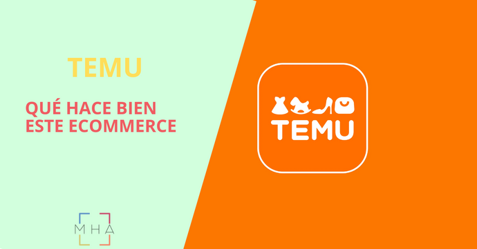 Temu: What does this ecommerce do well?