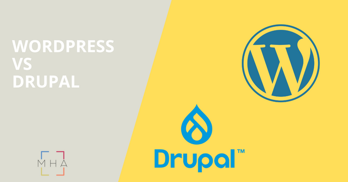 WordPress vs Drupal: Which CMS to choose for your website? 